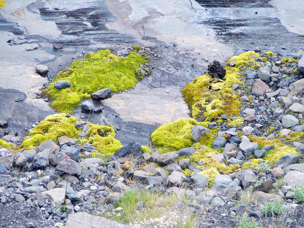 Ko se zgodba sesiri ...