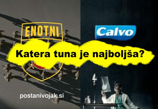 Slovenska vojska v službi plenilcev javnega denarja